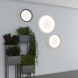 Plana Toplight