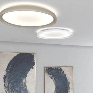 Plana Toplight