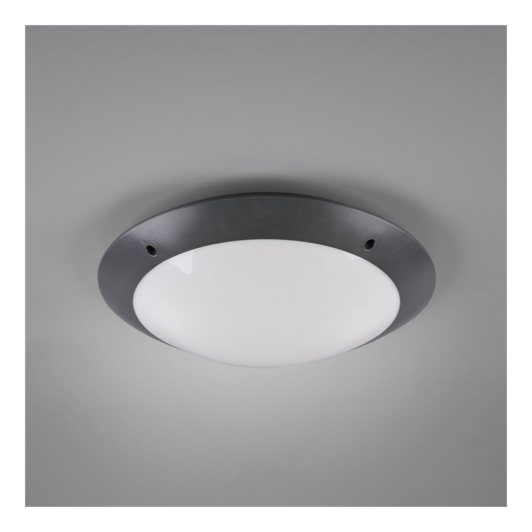 CAMARO R605020xx CAMARO R605020xx