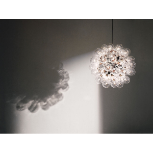 Taraxacum 88 Sospensione