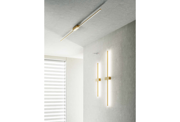 Cynara. La luce minimale.